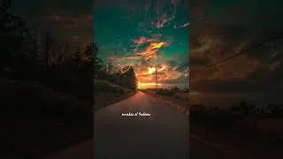 Thumbnail: Blind - Feelings (audio)