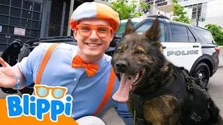 Thumbnail: What Do Police Dogs Do? 🐕‍🦺🚓