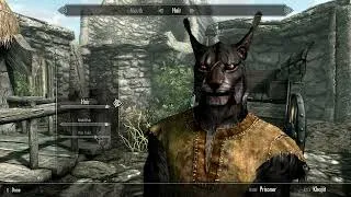 Thumbnail: Shenanigans In Skyrim | Part 01