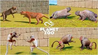 Thumbnail: All Animal Interactions from Zoo Keepers DLC in Planet Zoo