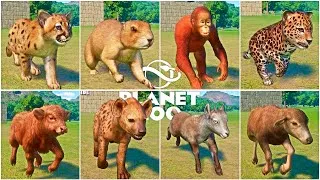 Thumbnail: All 138 Young Animals Running Ability Showcase in Planet Zoo