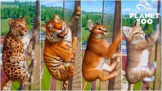 Thumbnail: Testing the Climbing Ability of Animals in Planet Zoo | Leopard, Tiger, Bear, Caracal, Bonobo