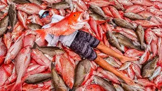 Thumbnail: We Filled the Boat with Fish 100 Miles from Land! (Catch, Clean & Cook)