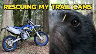 Thumbnail: Saving My Trail Cams From Bears and Private Land | Vancouver Island | Enduro