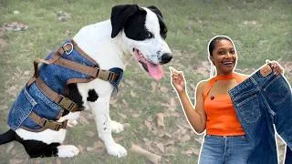 Thumbnail: Custom DIY Denim Dog Harness for Growing Puppies (No-Pull Inspired)