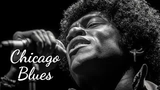 Thumbnail: Chicago Blues Soul   Unleash Raw Electric Blues Power Live Performance 🔥