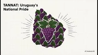 Thumbnail: The Secret Rules of South American Wine: Mercosur & The Rise of Uruguay's Tannat