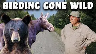 Thumbnail: Really WILD Birding Begins HERE