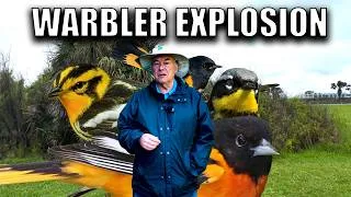 Thumbnail: EPIC Migration Fallout on the TEXAS COASTAL BEND and America's Rarest Bird.