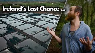 Thumbnail: Ireland’s Peatlands Are Disappearing — Can They Be Saved?