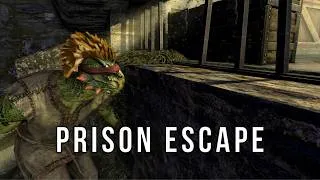 Thumbnail: I Tried To Survive Hardcore Skyrim As A Prisoner
