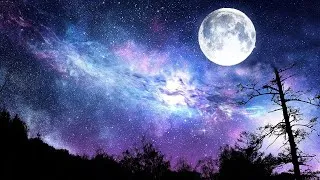 Thumbnail: 1 Hour Sleep Music, Music To Help You Sleep, Relaxing Music, Sleep, Meditation, Deep Sleeping Music