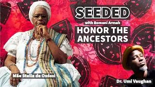 Thumbnail: Dr  Umi Vaughan honors ancestor Mãe Stella de Oxóssi