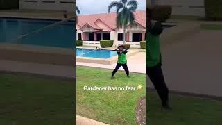 Thumbnail: GARDENER vs SNAKE 🤣🤣 #funny #funnyshorts #funnyvideo #shorts #animals