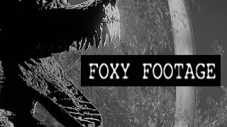 Thumbnail: fnaf / FOXY FOOTAGE