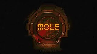 Thumbnail: MOLE | Ending Menu Ambient ♪