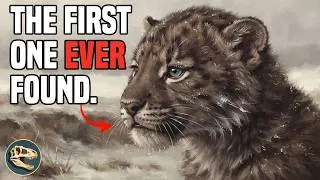 Thumbnail: Every Sabertooth You've Seen Is Wrong. This 35,000-Year-Old Frozen Cub Proves It.