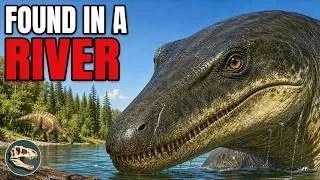 Thumbnail: A Mosasaur Tooth Was Found Next To A T-Rex. It Should Not Have Been There.
