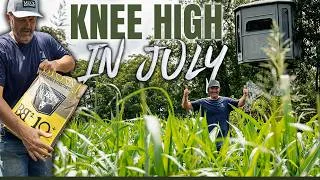 Thumbnail: TIME, MONEY, & ENERGY! Investing in Big, Healthy Deer & VIDEO PROOF!