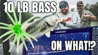 Thumbnail: HIGH FENCE Fishing with Live Sonar!! 25+ Pound Bag with a Pro Fisherman!