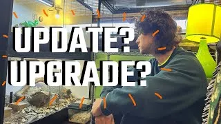 Thumbnail: New Year, New Reptile Room Upgrades