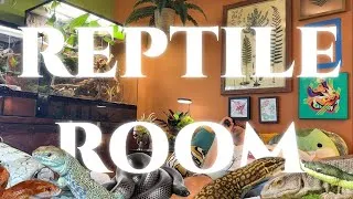 Thumbnail: An Embarrassingly Vulnerable Reptile Room Tour (2024)