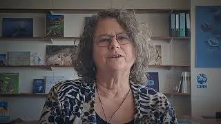 Thumbnail: Message of Amy Fraenkel, CMS Executive Secretary to mark World Migratory Bird Day 2026