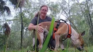 Thumbnail: Practicing dog massage on my dog