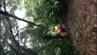 Thumbnail: Ziplining in La, Fortuna Costa Rica
