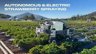 Thumbnail: Fully Electric Strawberry Spraying | Amiga Max at Cal Poly Strawberry Center
