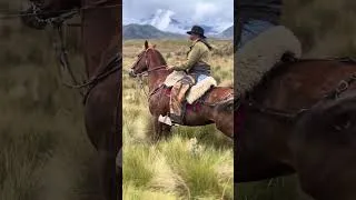 Thumbnail: Rodeo de ganado Chigtqpamaba 2026 . Belleza de Páramo y chagras . Cattle round up Ecuador. 
