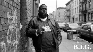 Thumbnail: 90's HipHop (1996) [Lost Mixtape] The Notorious B.I.G. Inspired Tribute - Concrete Jungle Soul