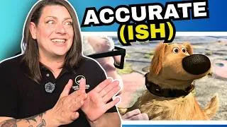 Thumbnail: Dog Behaviorist Reacts: Is UP accurate with animal behavior?