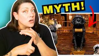 Thumbnail: Dog Behaviorist Reacts: Myth Busting Isle Of Dogs!
