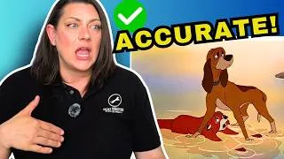 Thumbnail: Dog Behaviorist: Fox and the Hound is textbook nature vs nurture (Reacts)