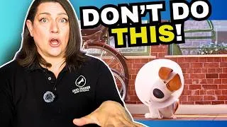Thumbnail: Dog Behaviorist Reacts: Secret Life of Pets 2 gives BIG life lessons!