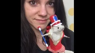 Thumbnail: How to Taxidermy a Mouse (Step-by-step Instructions)