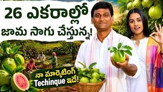 Thumbnail: గువా ఫార్మింగ్ పార్ట్ 2 | లాభసాటి వ్యవసాయం ఎలా? | Guava Farming Telugu | Sirisha Kandula