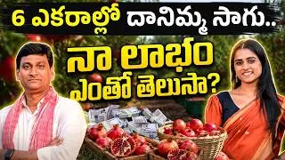 Thumbnail: Pomegranate Farming in Telugu - Plant care, Pest Control, Water Management, &More | Sirisha Kandula
