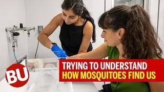 Thumbnail: What Makes Mosquitos Bite You? | Boston University Research