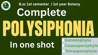 Thumbnail: Polysiphonia vegetative structure,Sexual reproduction,Post-fertilization changes,lifecycle 