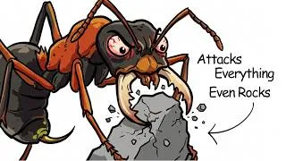 Thumbnail: Why It Sucks To Be Born As a Bull Ant