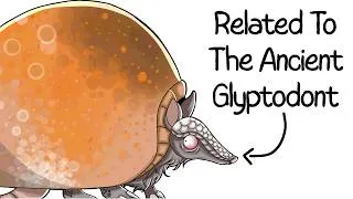 Thumbnail: Why It Sucks To Be Born As an Armadillo