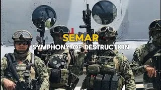 Thumbnail: SEMAR - Symphony of destruction.