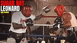 Thumbnail: SUGAR RAY LEONARD SPARRING FOOTAGE (1989)