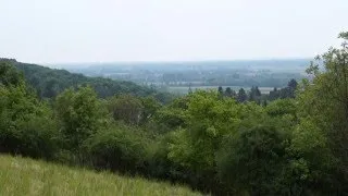 Thumbnail: Nature HD Video Loop