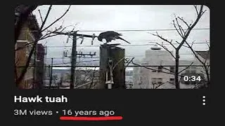 Thumbnail: Youtube... please stop