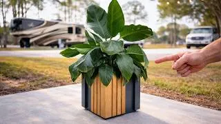 Thumbnail: This Planter Design Is So 2026