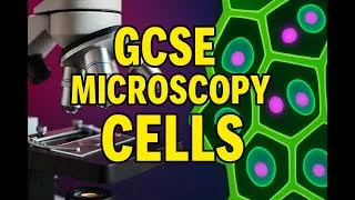 Thumbnail: “Microscopes Decoded: GCSE Science with Vibes & Visuals” Magnification Made Easy 🔬