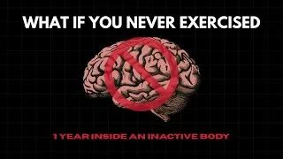 Thumbnail: What If You Never Exercised? 1 Year Inside an Inactive Body
